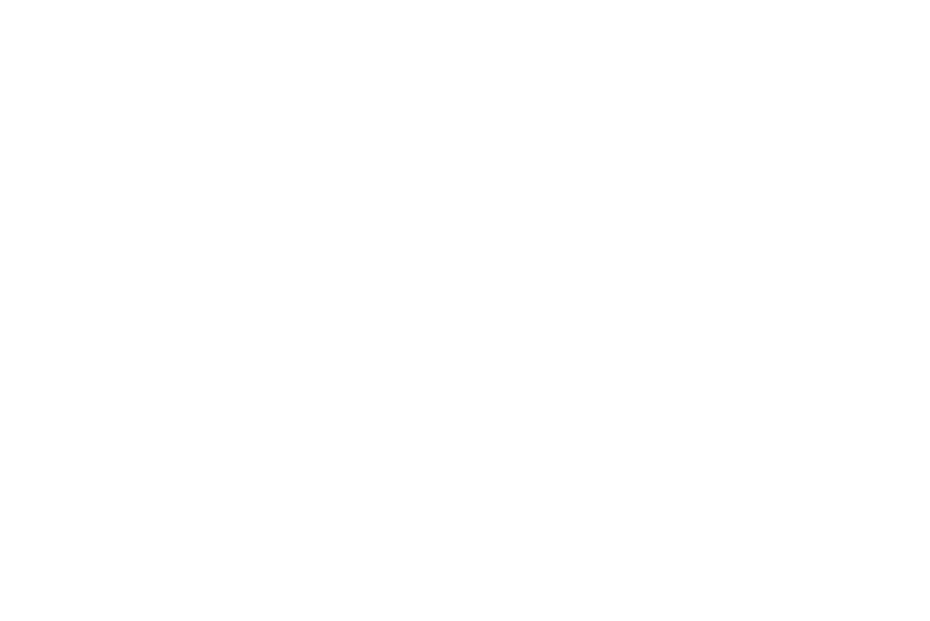 DIR Hub